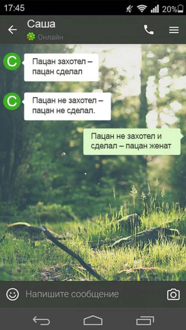 Мужские СМС-ки обо всём на свете (15 шт)