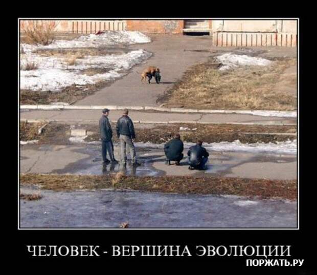 искали демотиваторы?