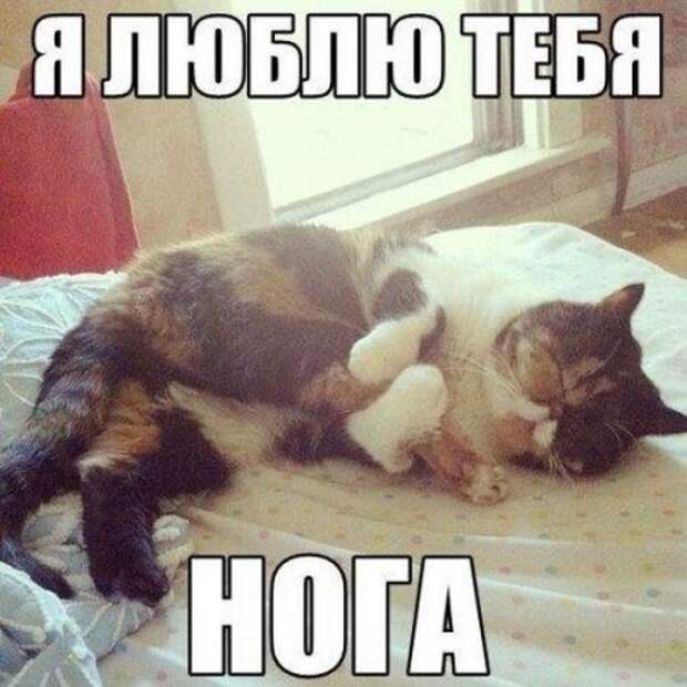 Фото-приколы дня (40 шт)