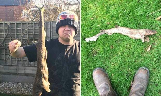 Житель Великобритании нашёл в своём дворе акулу, которая упала с неба акула, животные, находка, неожиданно, рыба, сюрприз, фото