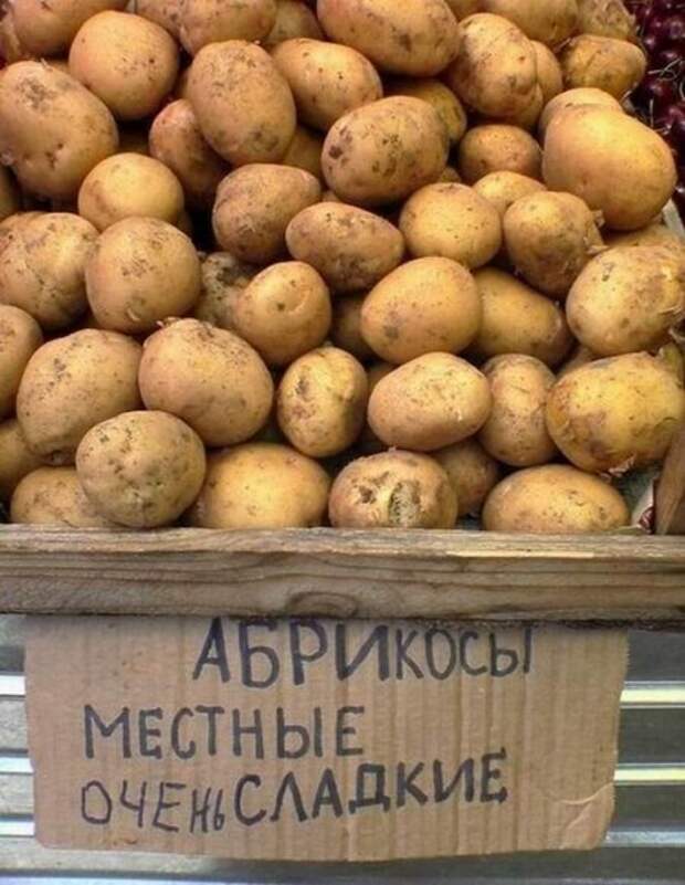 Прикольные фотки :) (30штук)