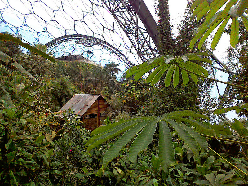 The Eden Project, Cornwall - Tropical biodome