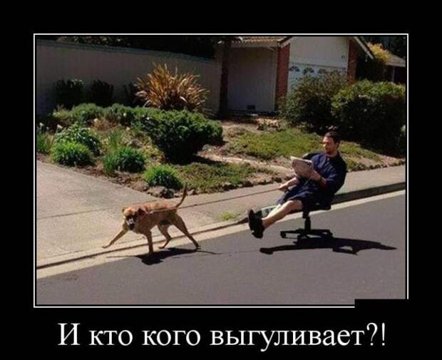 Демотиваторы (30 фото)