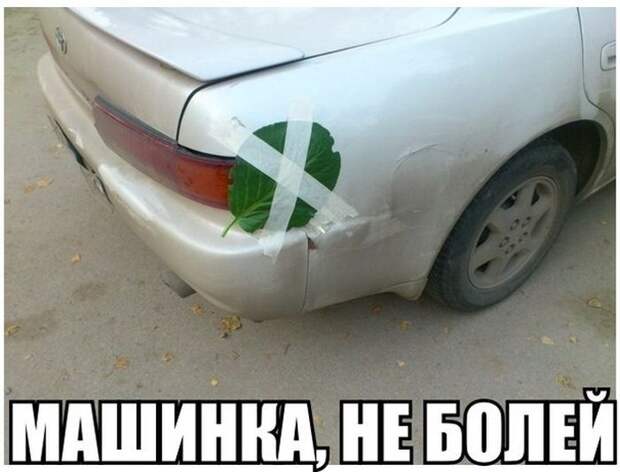 Картинки со смешными подписями картинки, прикол, юмор