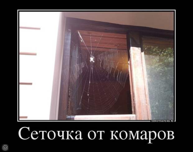 Здравствуй, осень! 5