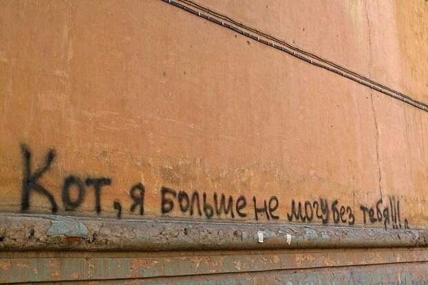 Маразмики  картинки, настроение, позитив, фотоприкол