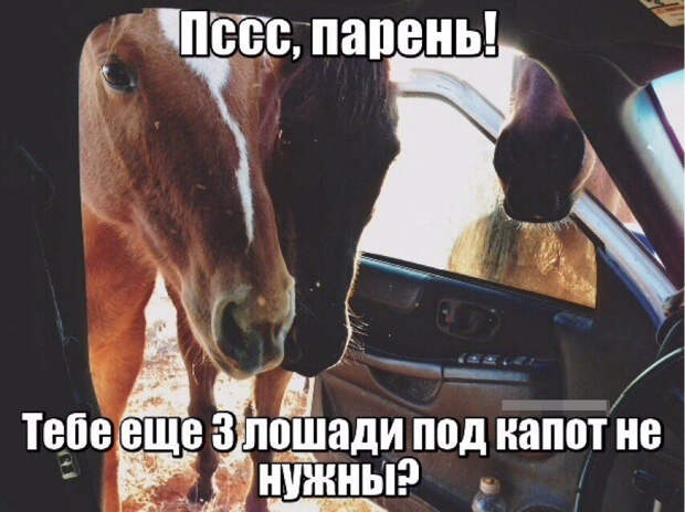 Подборка автоприколов. Часть 226 авто, автоприколы, приколы