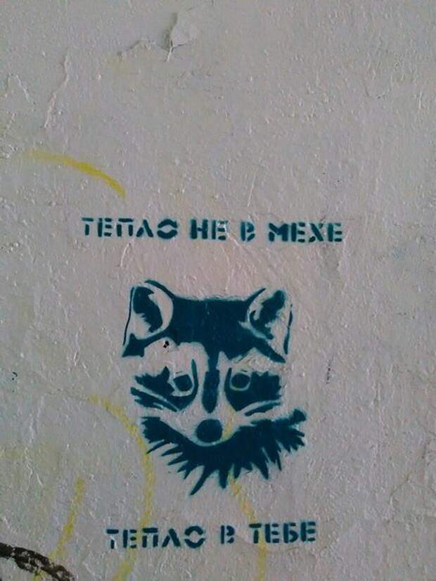 Настенная живопись XXI века (32 фото)