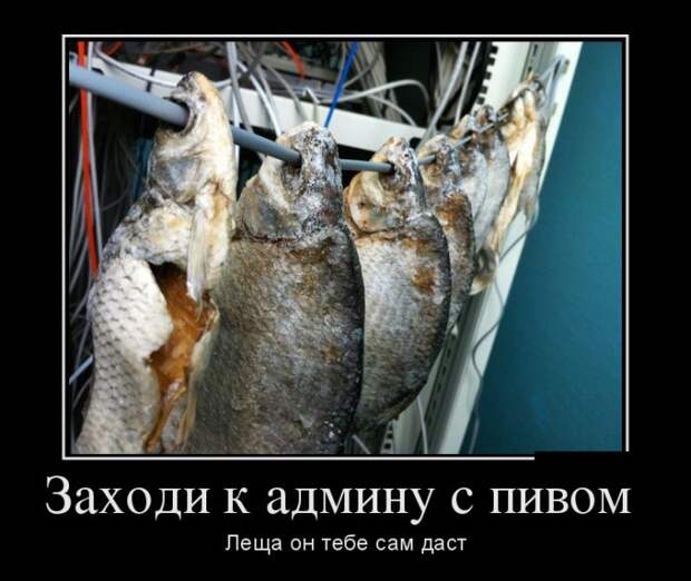Демотиваторы (30 фото) Демотиваторы (30 фото)