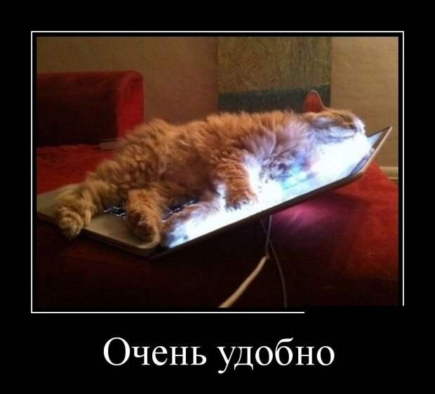 Весёлые демотиваторы - Вы будете улыбаться!
