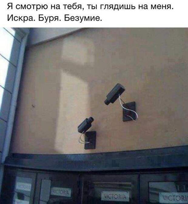 Прикольные картинки. Вечерний выпуск картинки, прикол, фото, юмор