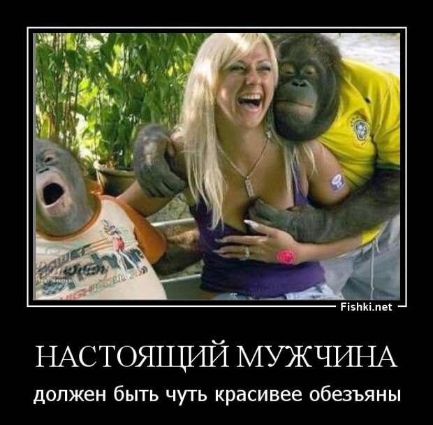 Демотиваторы  демотиваторы, прикол, смех, юмор