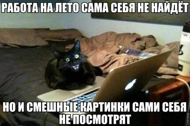 Смешные картинки с подписями  картинки, прикол, юмор