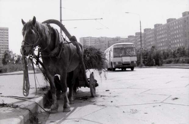 1979 год. Москва, Юго-запад