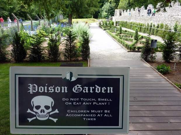 Сад Ядов - "The Poison Garden" растения, сад, яды