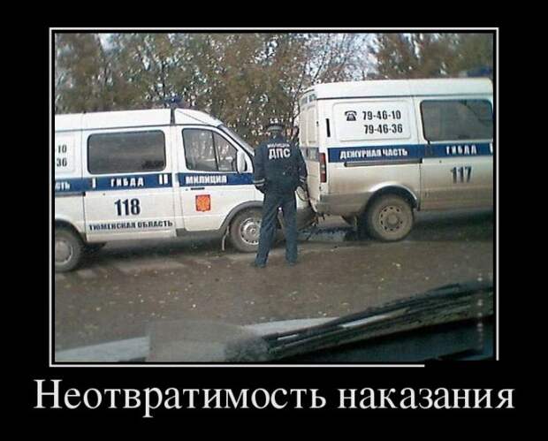Демотиваторы (30 фото)