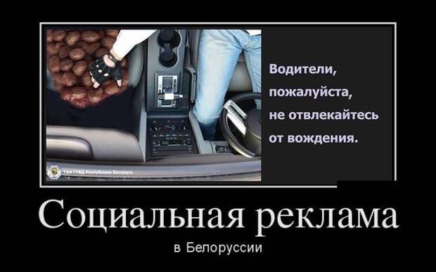 Демотиваторы (30 фото)