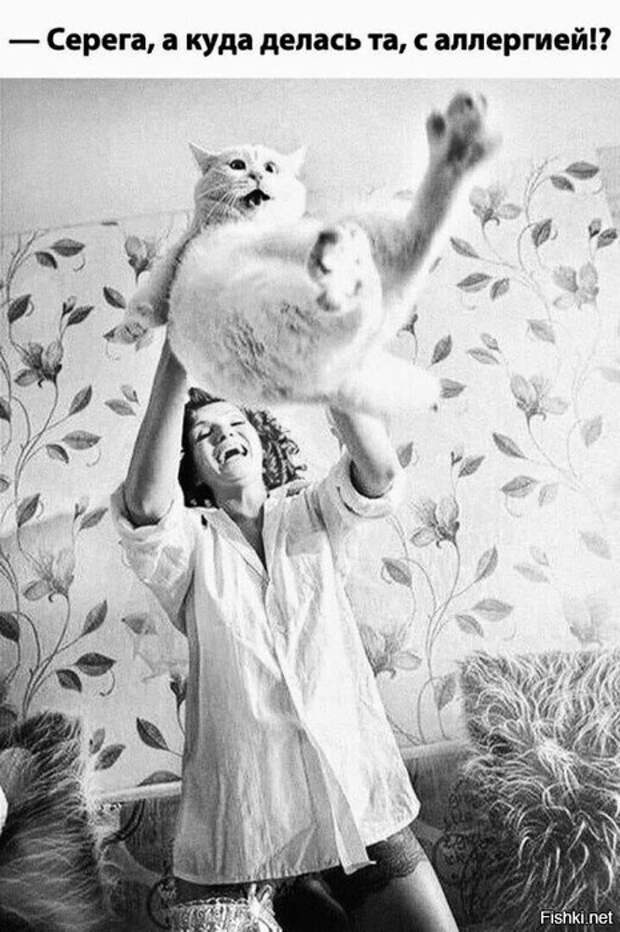 488ba69a3f3dd033f674fa6072e998e9 (465x700, 212Kb)