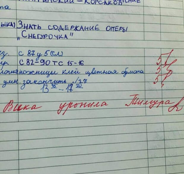 смешная запись в дневнике школьника