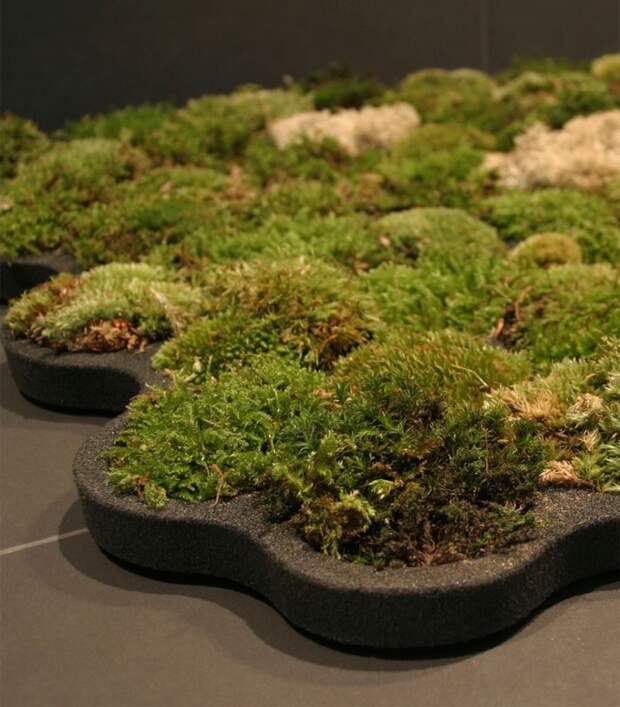 green-design-ideas-inspired-by-nature-2-2-1