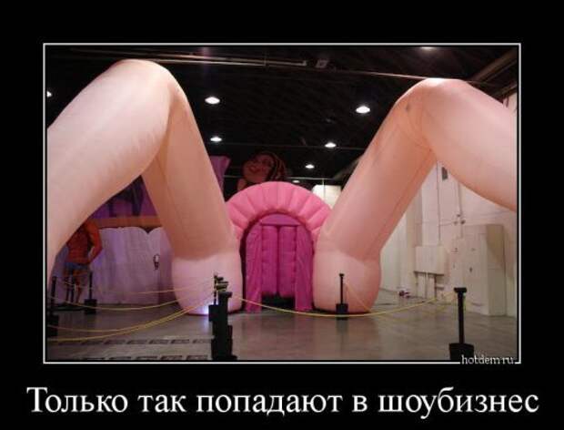 Лучшие демотиваторы пятницы