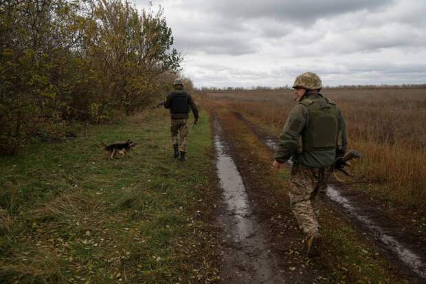 Дезертиров ВСУ предложили отпускать в Белоруссию