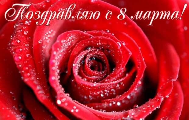 Поздравляем всех дам с 8 марта!