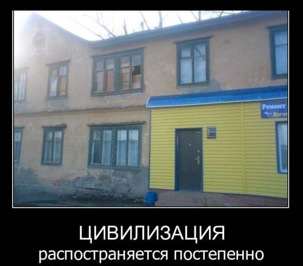 Демотиваторы (42 фото)