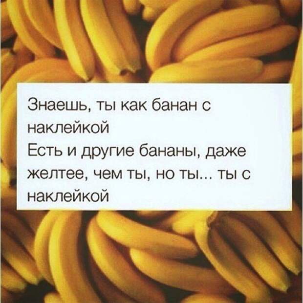 Смешные диалоги