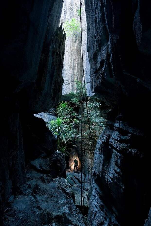 В ущелье каменного леса. Мадагаскар. Фото