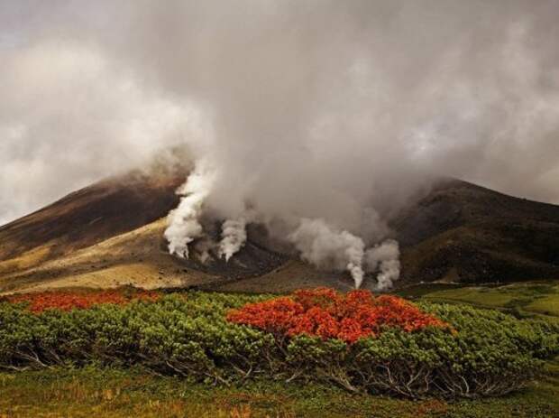 Коллекция лучших фотографий от National Geographic (ноябрь 2012)