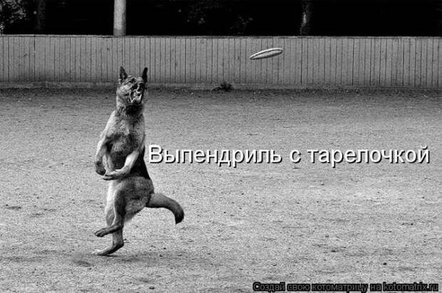 Мысли вслух Мысли вслух