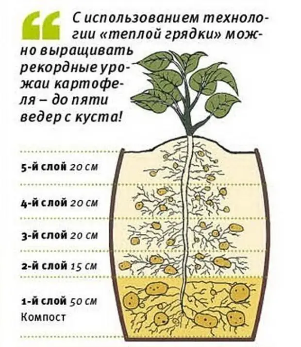 Схема теплой грядки для огурцов