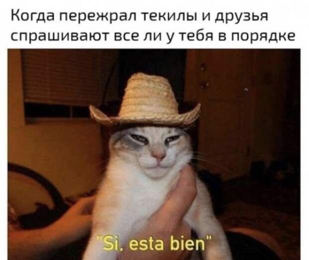 Алкопост