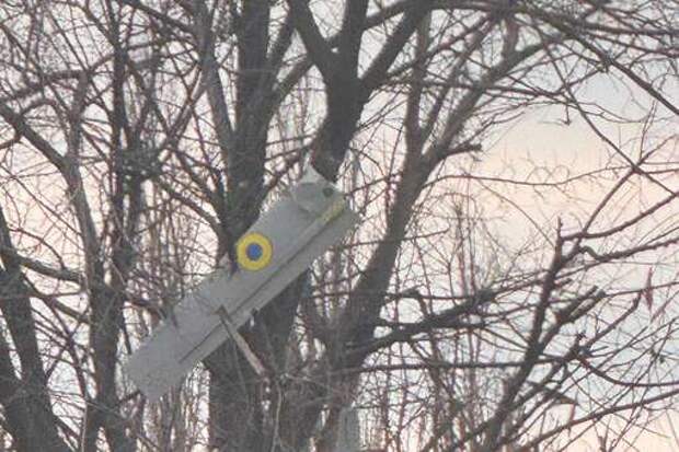 В Кировске в ЛНР на дереве обнаружили дрон ВСУ с боевой частью