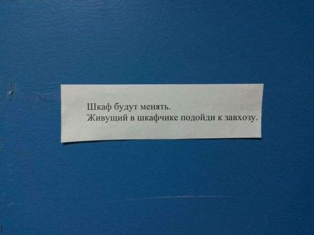 Забавная подбрка фотографий Забавная подбрка фотографий