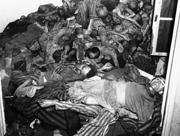 Ужасы Дахау - наука вне морали  дахау, история, освобождение
