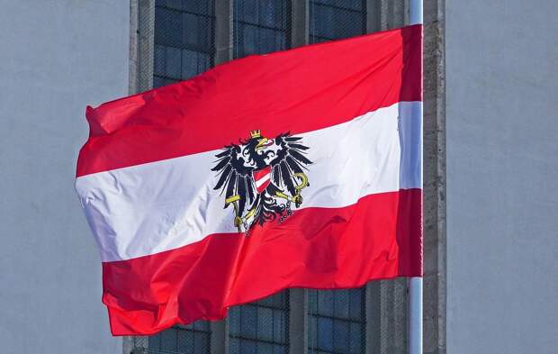 В МВД Австрии по ошибке предложили расстреливать за пропаганду халифата