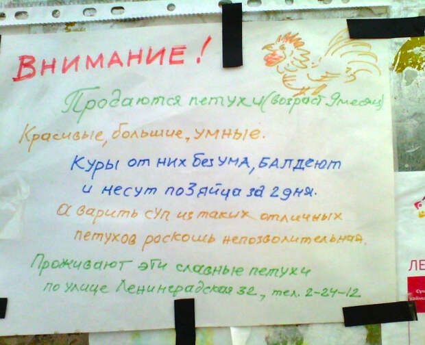 объявления, которые сделали наш день