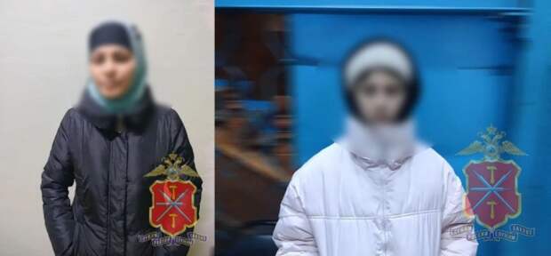 Под Тулой подросток совершила кражу ценных вещей на 38 тысяч рублей из ПВЗ