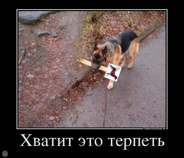 Воскресная порция философского юмора 11