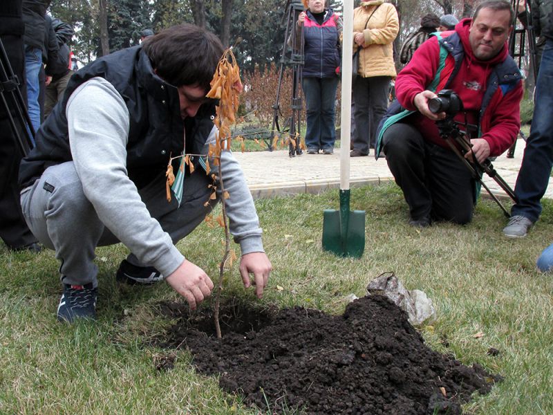 В Донецке заложили Аллею народного единства