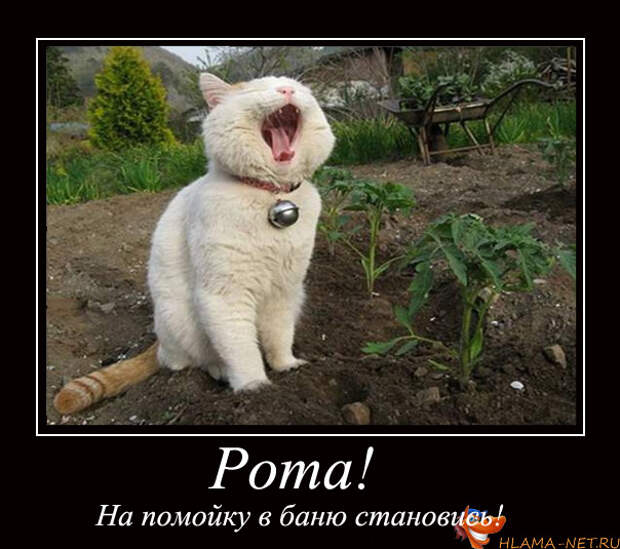 демотиваторы по русски
