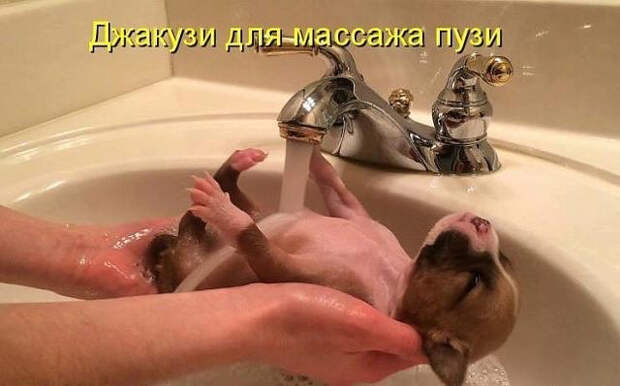 image (640x399, 155Kb)