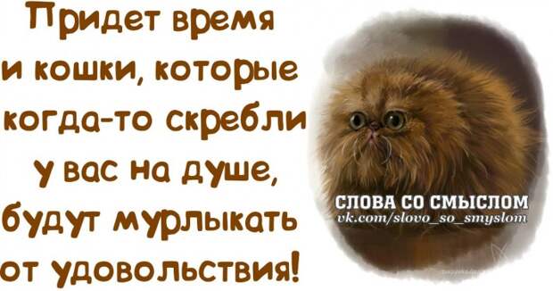 Прикольные фразочки в картинках  №061213