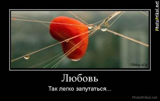 Демотиваторы про любовь (40 демотиваторов) Демотиваторы про любовь (40 демотиваторов)
