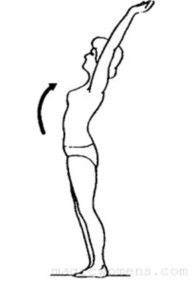 Поясница назад. Упражнения от сутулости. Упражнения с гирями от сутулости. Прогресс сутулости схема. Зарядка для спины от сутулости.