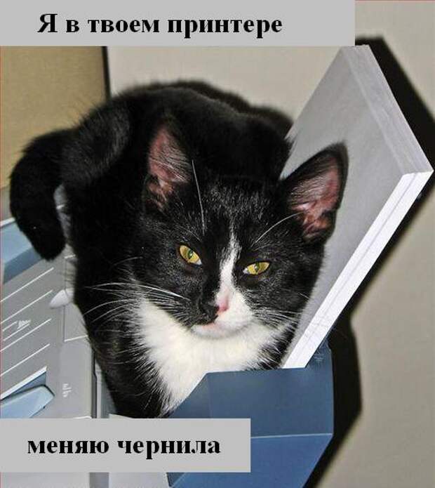 Мысли :) (50мыслей)