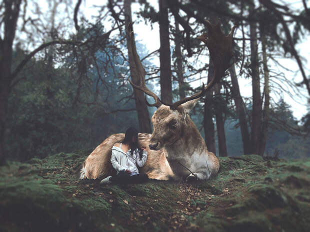 Причудливый мир фотографа Причудливый мир фотографа воображение, мир, фотограф