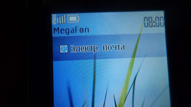 OMD2-1.jpg OMD2-1.jpg